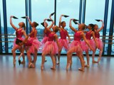  [Tåspissdansere utkledd som flamingoer]